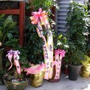 코끼리특장(주) 이미지