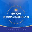 (주)혜성IBS