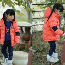 도토리농장 이미지