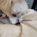 제니펫하우스 이미지