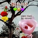 3월8일(금) 비지장이 먹고싶어서 이미지