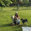 하단동1207 이미지