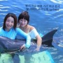 세랑 이미지