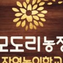 모도리마켓 네이버블로그