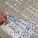 932 | 대한항공 KE932 (로마 to 인천) 기내식정보, 좌석정보 포함, 눕코노미 이용 후기