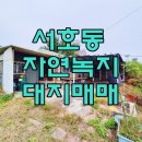 서호동-26 이미지