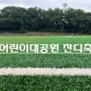 어린이대공원잔디축구장 네이버블로그