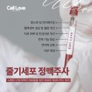 셀러브의원 이미지