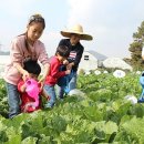 다둥이농장 이미지