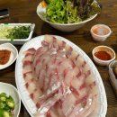 오쇼 하우스 이미지