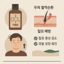 아나젠 | 카페인 탈모 샴푸: 두피 혈액순환 개선 탈모 예방 샴푸
