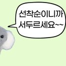 호주면세점 봉선점