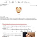 고수 결혼발표의 여시반응ㅋㅋㅋㅋㅋㅋㅋㅋㅋㅋㅋㅋㅋㅋㅋㅋㅋㅋㅋ(삐젬有) 이미지