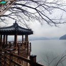 [달창지 수변길 산책] 비 오는 겨울 오후의 고즈넉한 산책 이야기