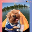기분 - 서구 | 기분