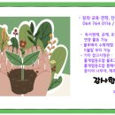꿈키교육 이미지