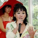 김수희 카카오 검색결과