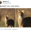 동신글로우 | 뭐했더니 일월(사진많음)