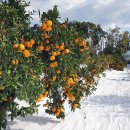 용기농장 이미지