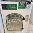 버블독스광주양산점 이미지