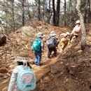 작은숲  어린이집 이미지