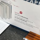 테일러페이퍼 이미지