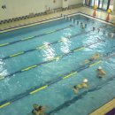 서구청소년수련관 수영장 이미지