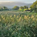 성주(창원) 이미지