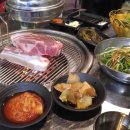 김돈이 이미지