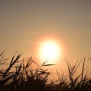 신평1동-7 이미지