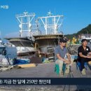 꽃게청년수산 이미지