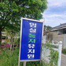 임실둥지유치원 네이버블로그