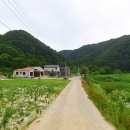 청춘펜션 이미지