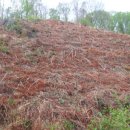 상내농장 이미지