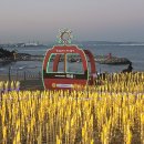 간절곶 공원 이미지