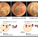 나노바이오테크 이미지