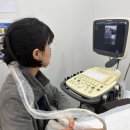 희망로H동물병원 이미지