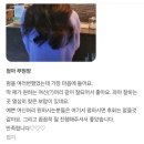 청아살롱 이미지