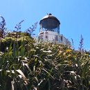 라이트하우스(Lighthouse) 이미지