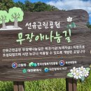 선유근린공원 이미지