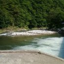 고향산천식당 이미지