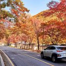 산성로L 이미지