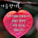 속옷선물 해보신분 이미지