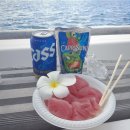 꿈모아혐동조합 | 괌 자유여행 필수 코스 🐬 블루 돌핀크루즈로 떠나는 돌고래투어 완벽 후기