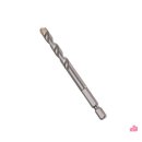 다이아나 이미지