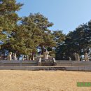 강릉김씨묘역 이미지