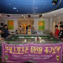 창의로봇교실 이미지
