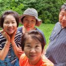 청태산휴양림 이미지