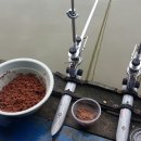 장기낚시터 이미지