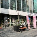 역삼-1455 이미지